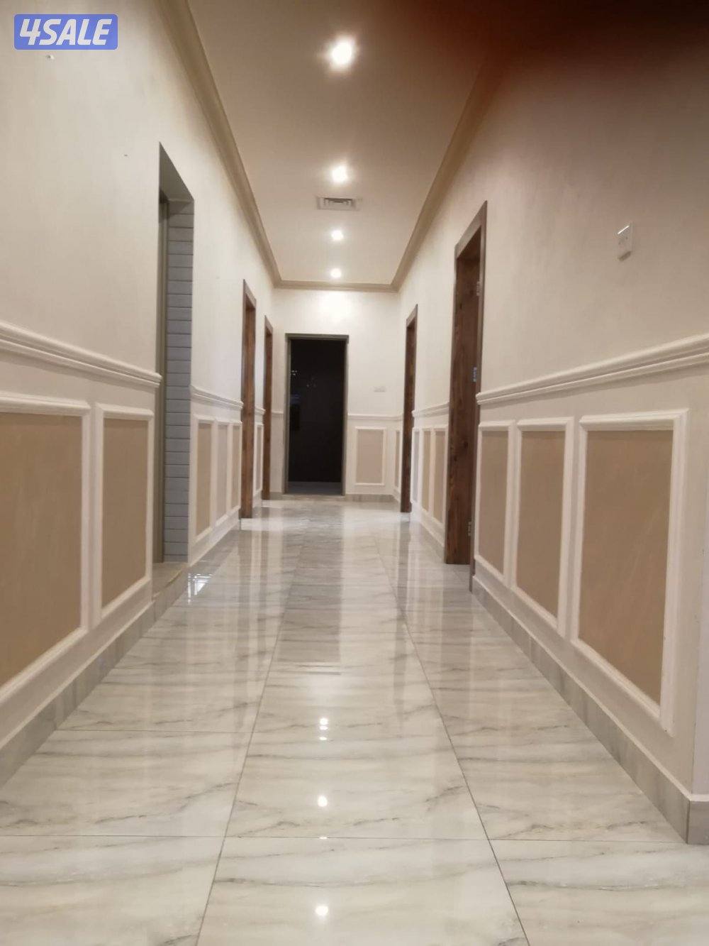 صباغ رخيص وعام كل ماهو جديد1