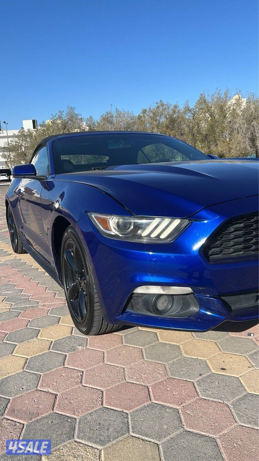 للبيع موستنغ كشف 20161