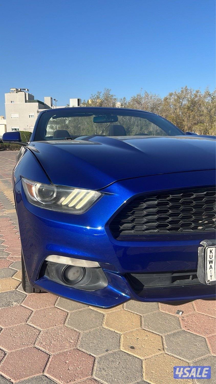 للبيع موستنغ كشف 20164