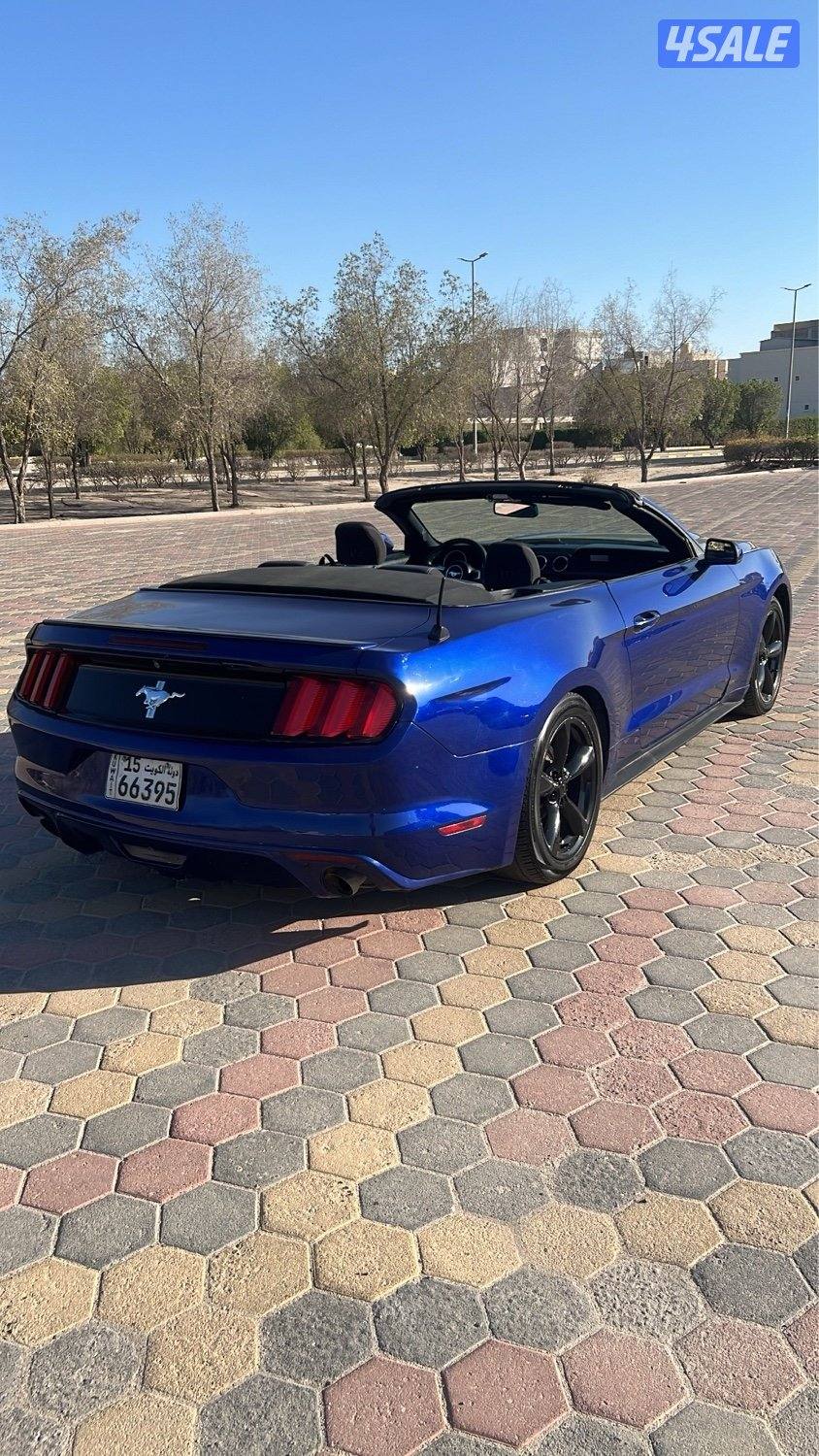 للبيع موستنغ كشف 20166