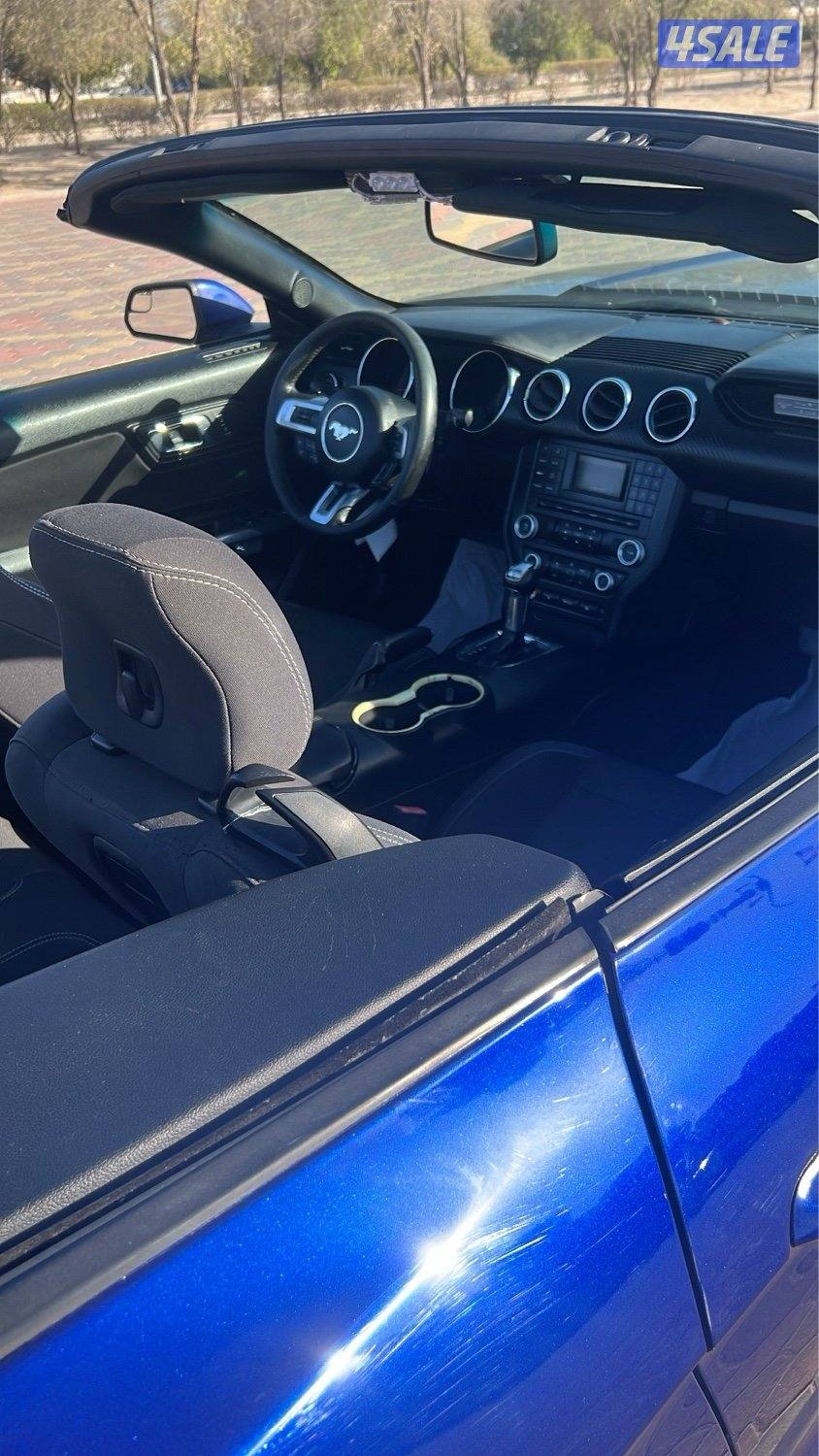 للبيع موستنغ كشف 20168