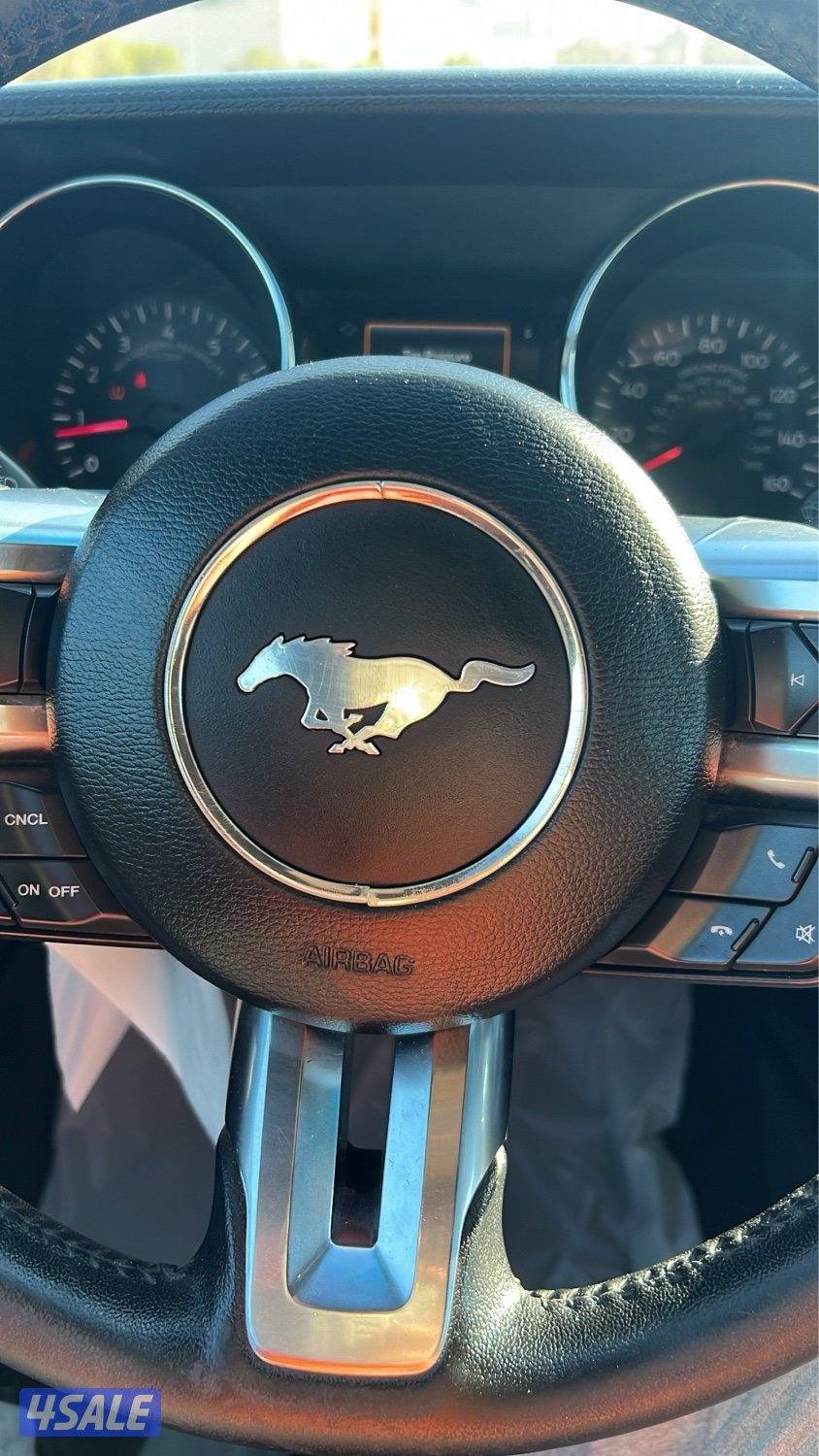 للبيع موستنغ كشف 20169