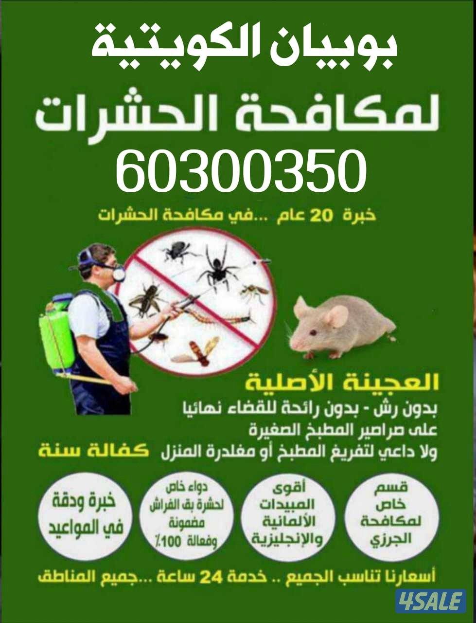 رش حشرات جميع مناطق الكويت ارخص الاسعار كفالة سنة0