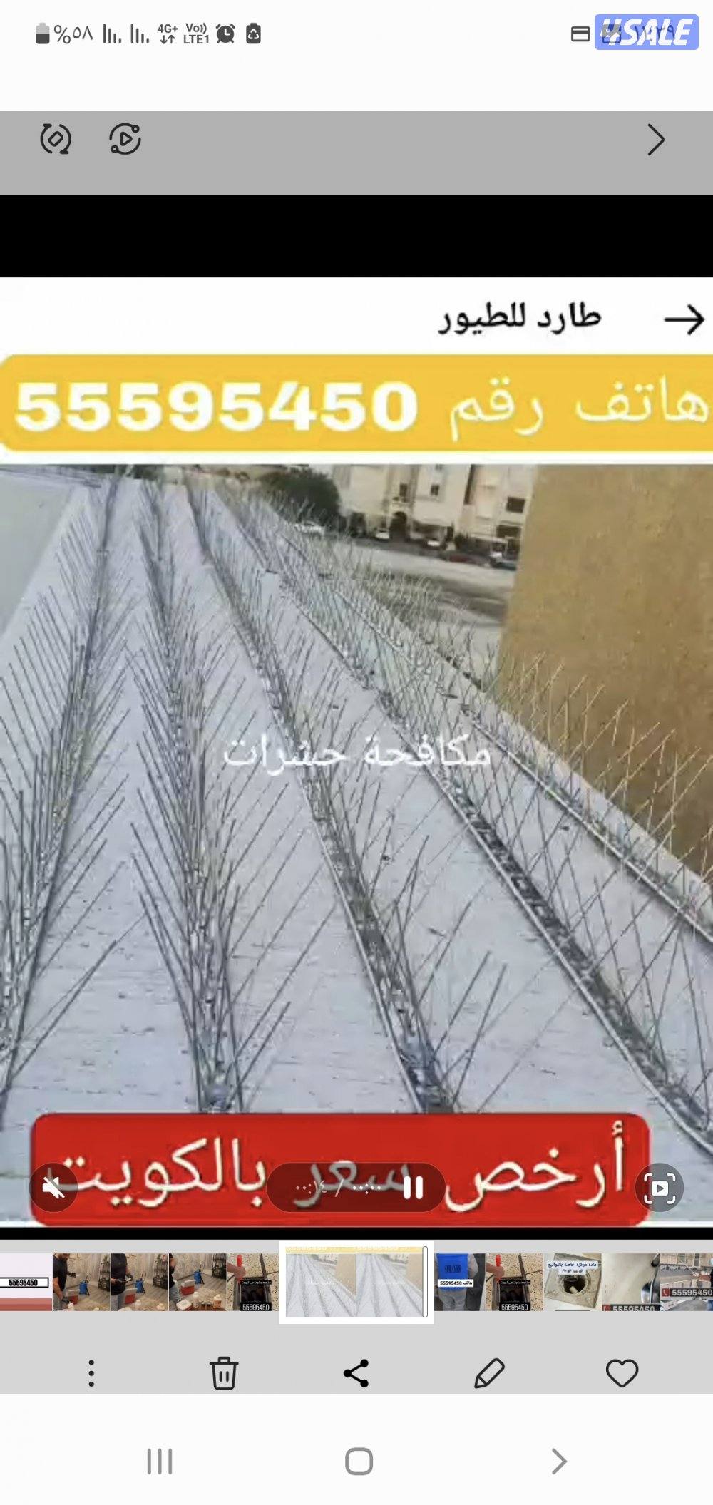 تخلص من الصراصير الأن وبق الفراش  رش جميع انواع الحشرات1