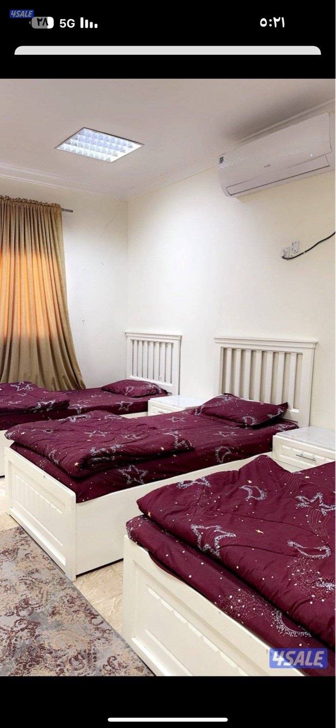 مزرعة بالوفرة ايجار يومي8