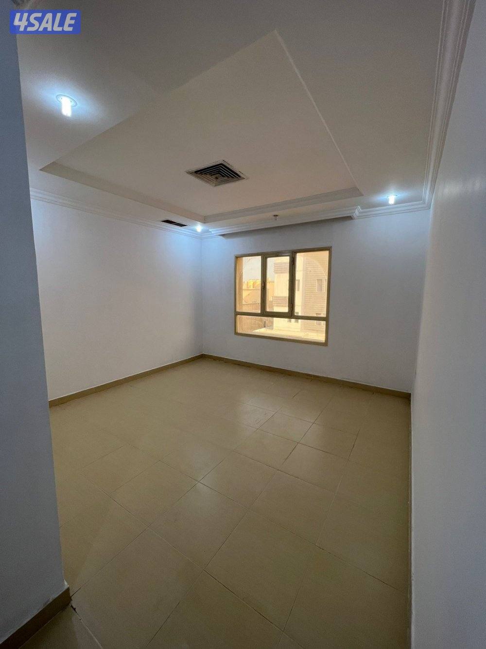 شقه للايجار6