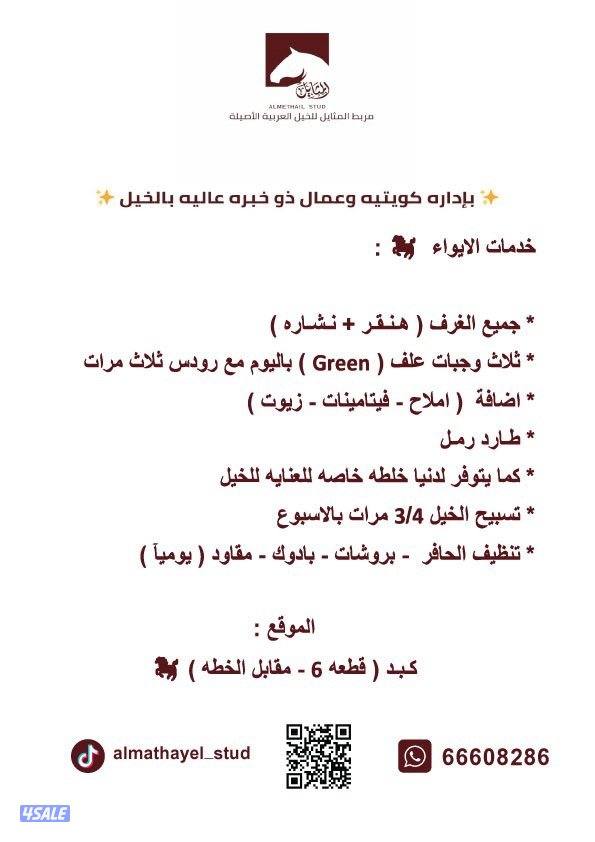 🌟 مـربـط الـمـثـايـل 🌟4