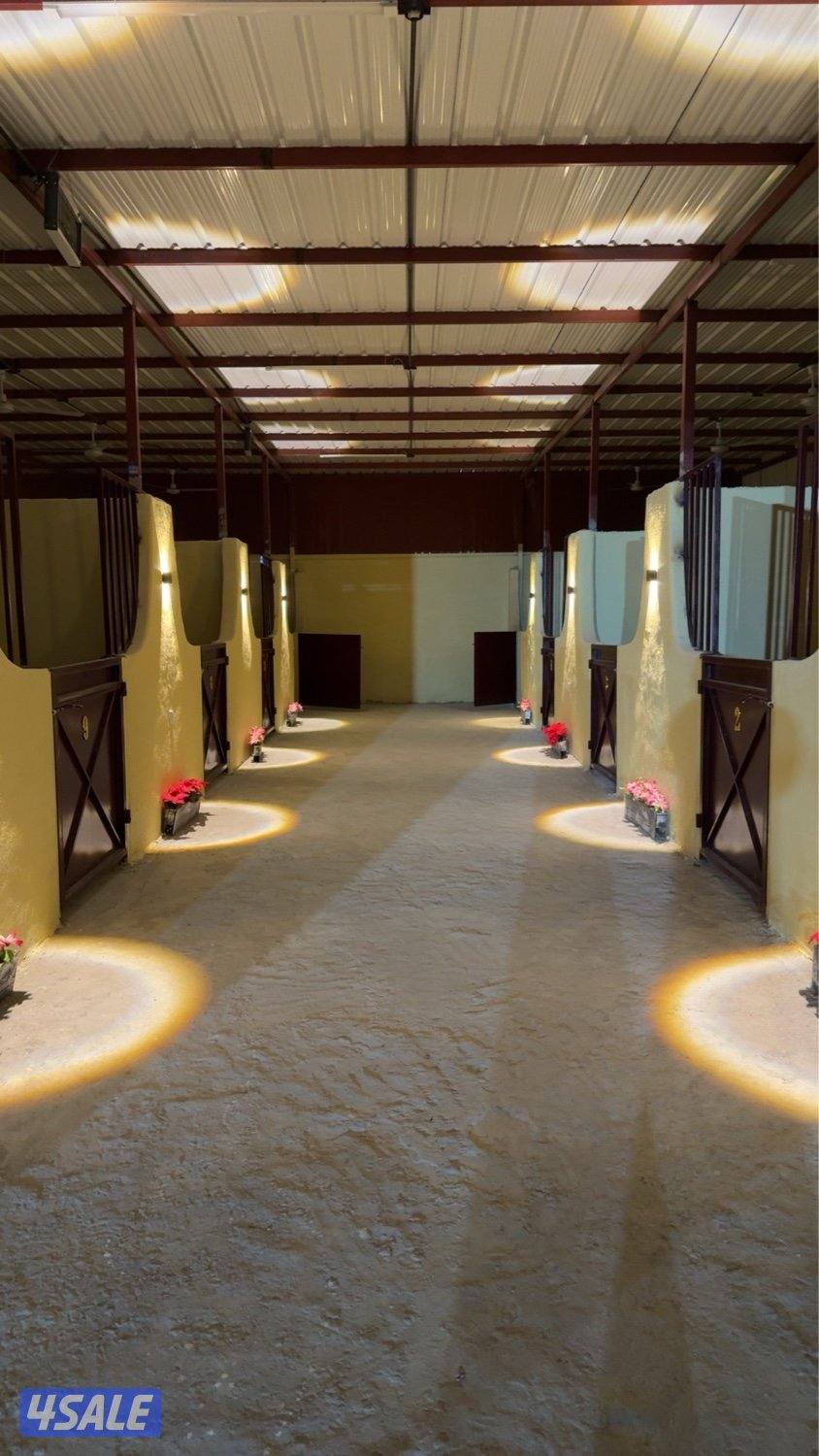 🌟 مـربـط الـمـثـايـل 🌟3