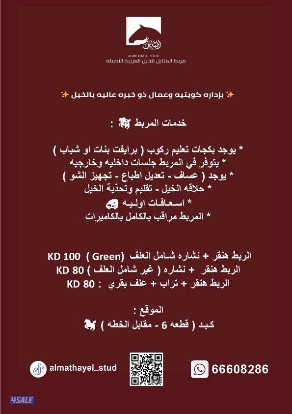 🌟 مـربـط الـمـثـايـل 🌟5