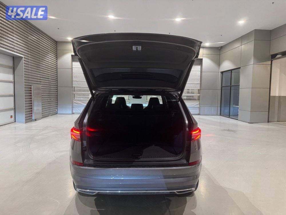 Skoda Kodiaq 20245