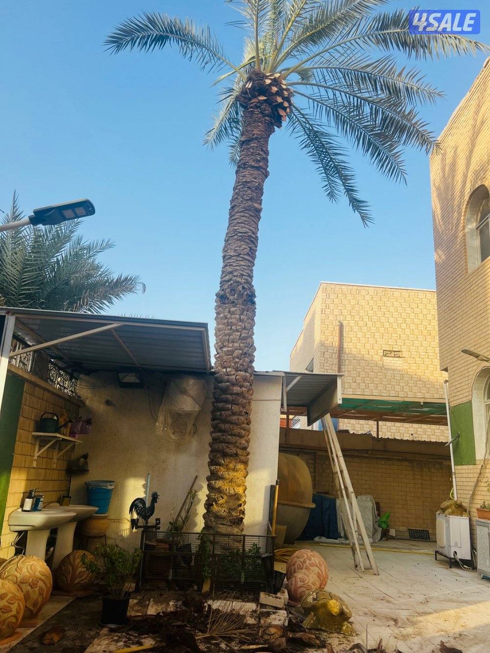 ابوحسين للنخيل والحدايق0