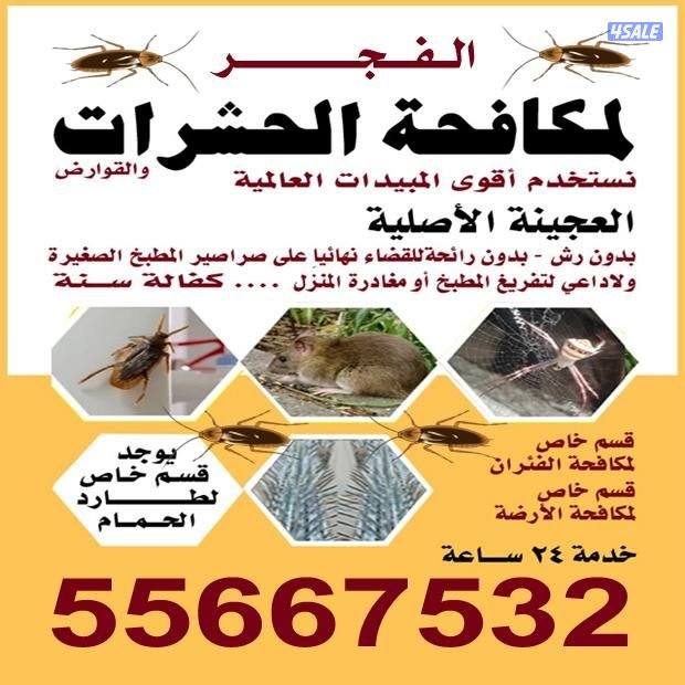 مكافحة حشرات وقوارض ارخص الاسعاى0