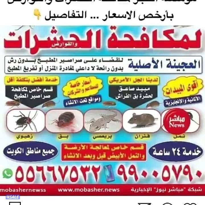 مكافحة حشرات وقوارض ارخص الاسعاى1