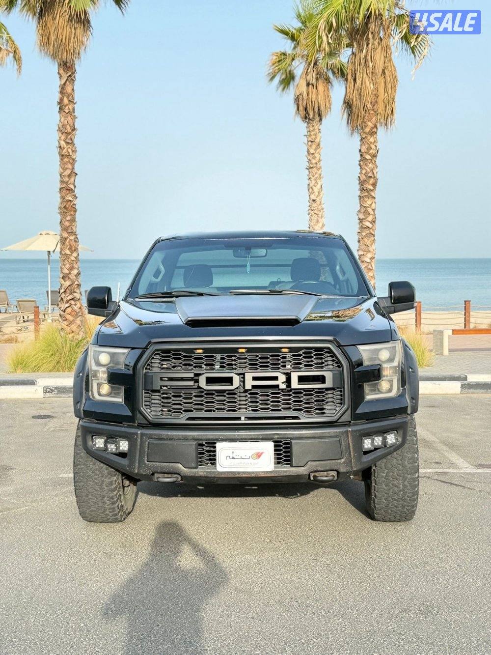 فورد F150 موديل 2016 - صبغ وكاله2