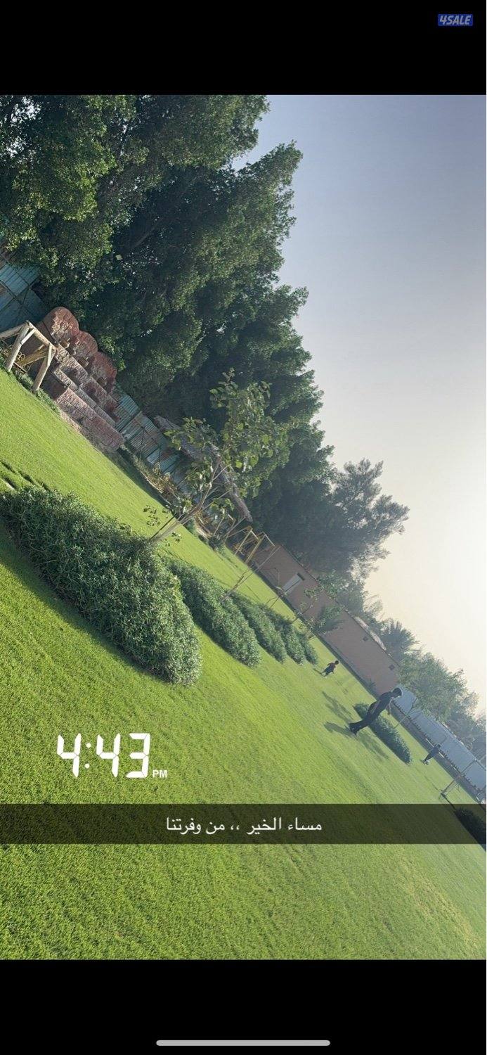 متوفرة بالوفرة هالويك اند ويوجد شهري كذلك0