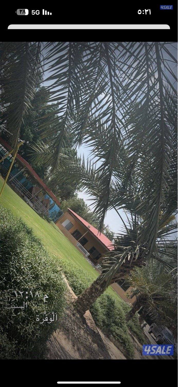 متوفرة بالوفرة هالويك اند ويوجد شهري كذلك5