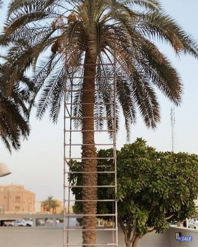 للبيع سقالة نخل فك وتركيب وجوده واستدامه وخدمة ما بعد البيع0