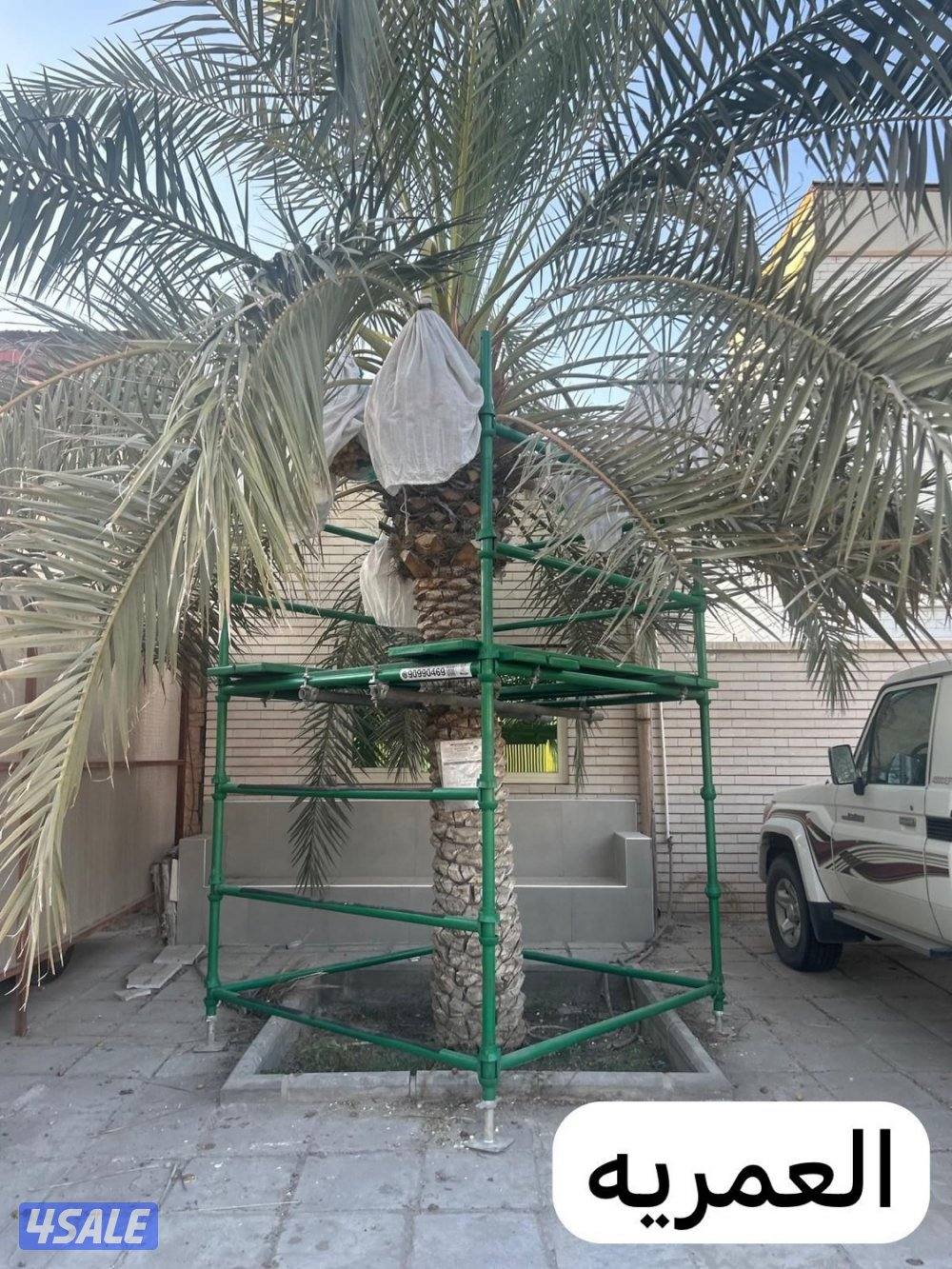 للبيع سقالة نخل فك وتركيب وجوده واستدامه وخدمة ما بعد البيع3