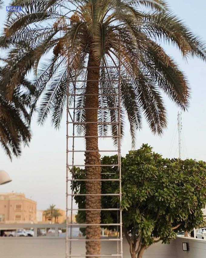 للبيع سقالة نخل فك وتركيب وجوده واستدامه وخدمة ما بعد البيع14