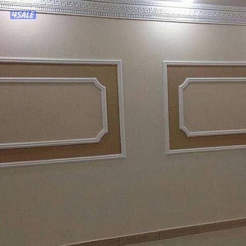 اصباغ ابو محمود4