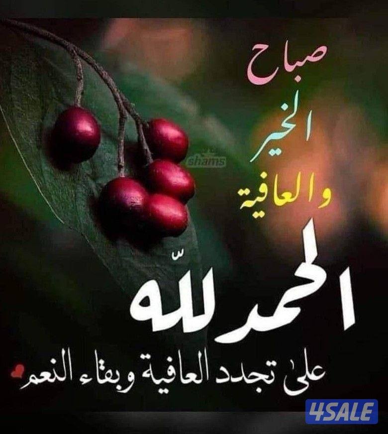 مطلوب قسايم بجابر الاحمد  موقع طيب وارتداد  ومطلوب شارع واحد0
