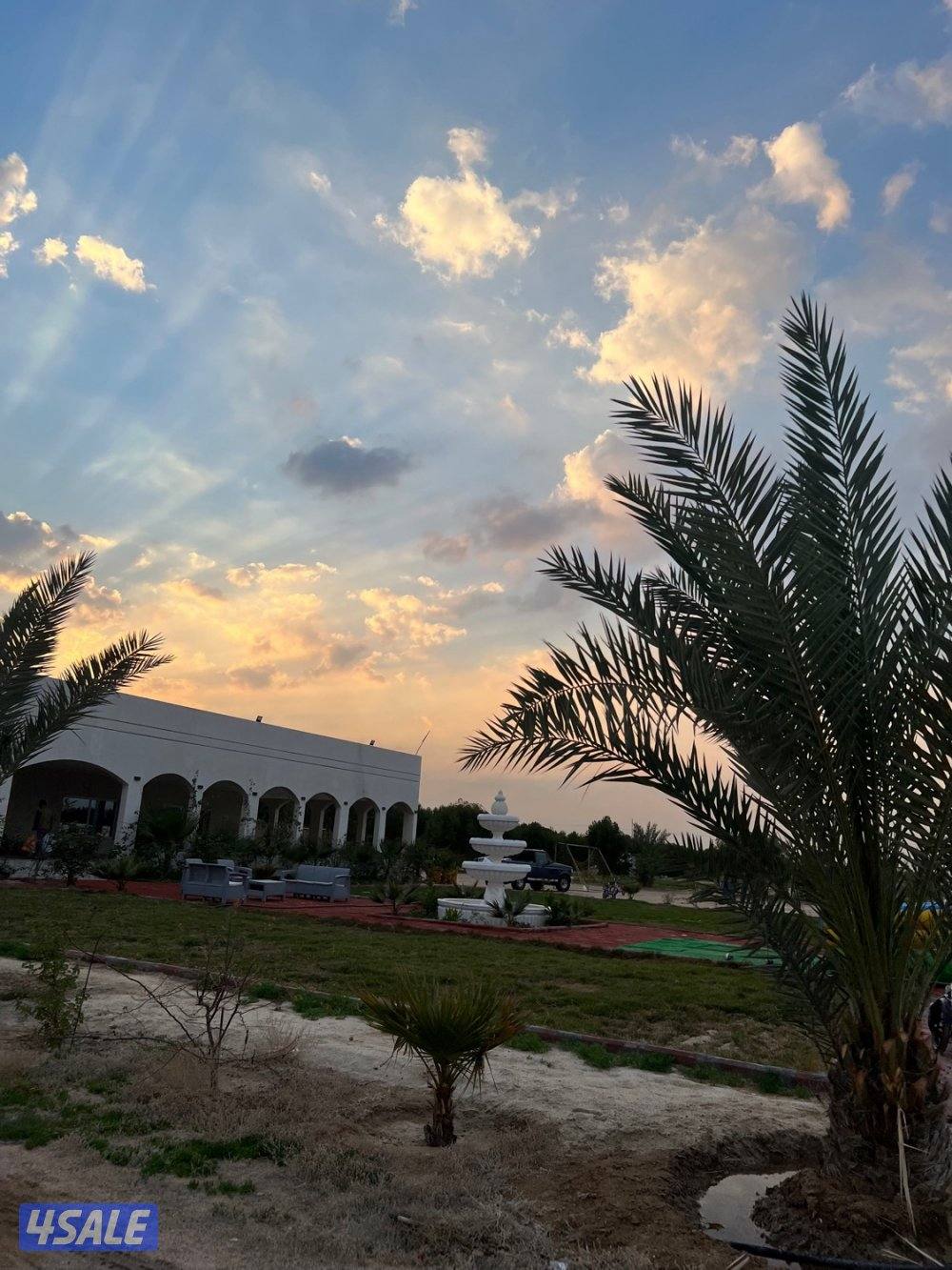 مزرعه فاخره للايجار باالعبدلي1