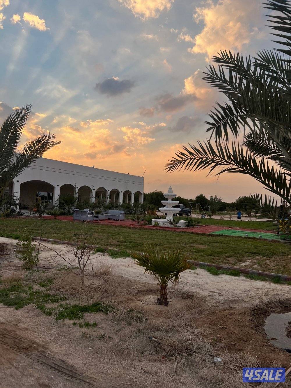 مزرعه فاخره للايجار باالعبدلي2