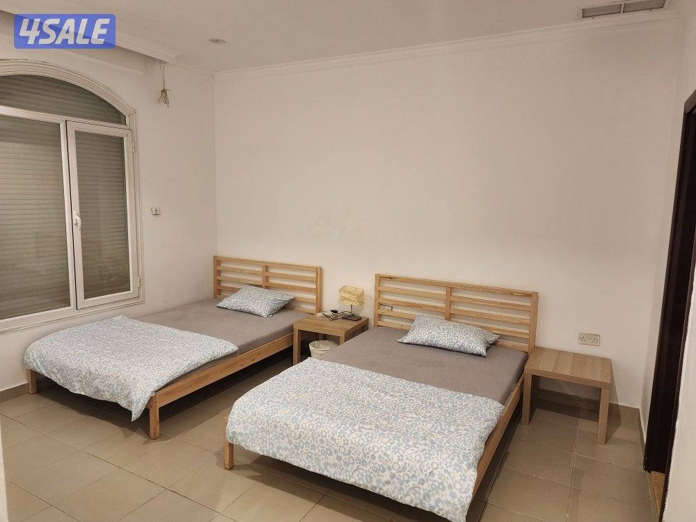 لا يوجد  سنوي12