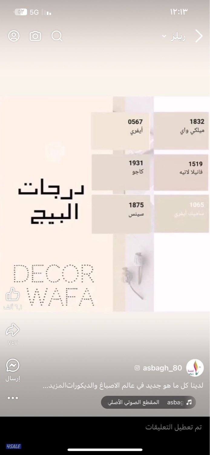 اصباغ ابو علي3