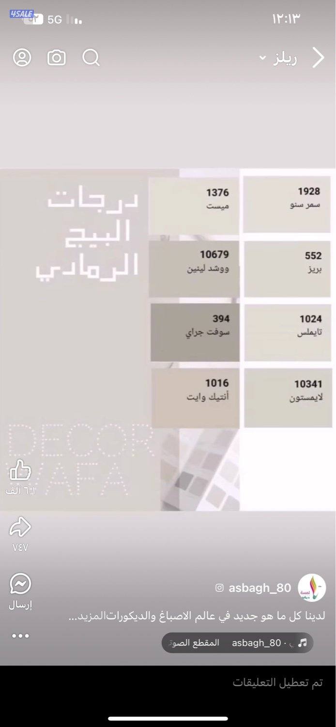 اصباغ ابو علي4
