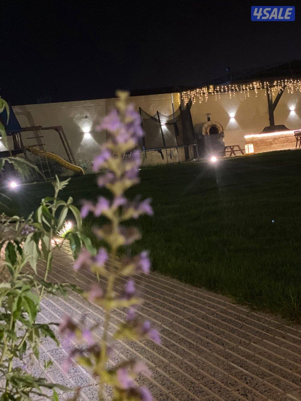 استراحــة دار يــوسف10