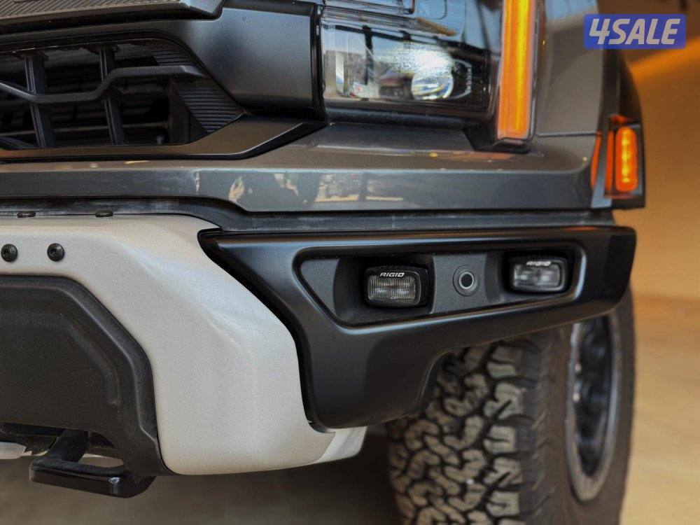 فورد رابتر1