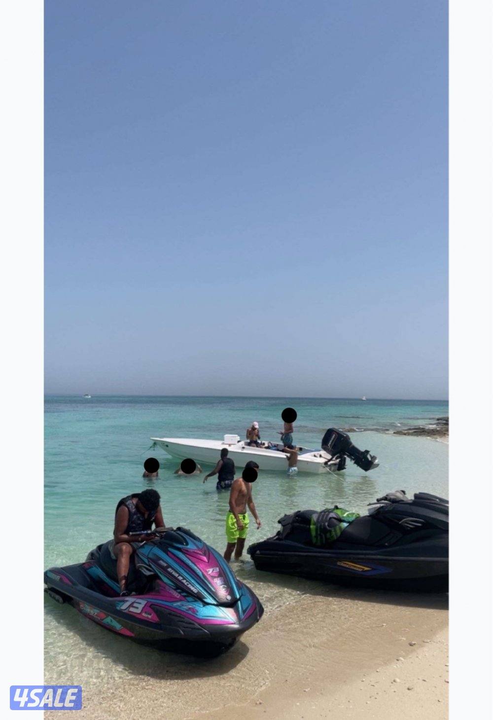 فلوستي قرف النورس 20152