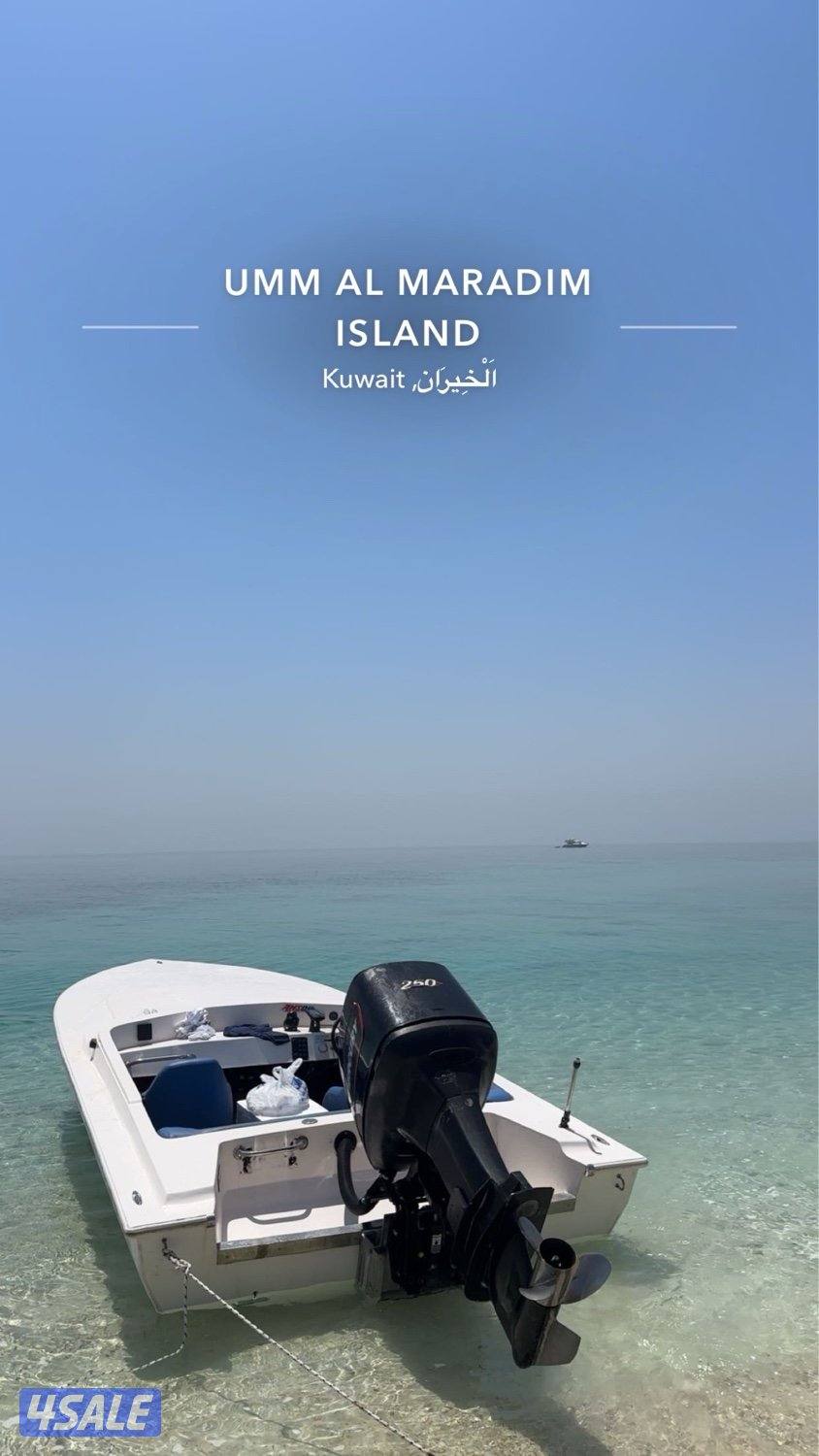 فلوستي قرف النورس 20151