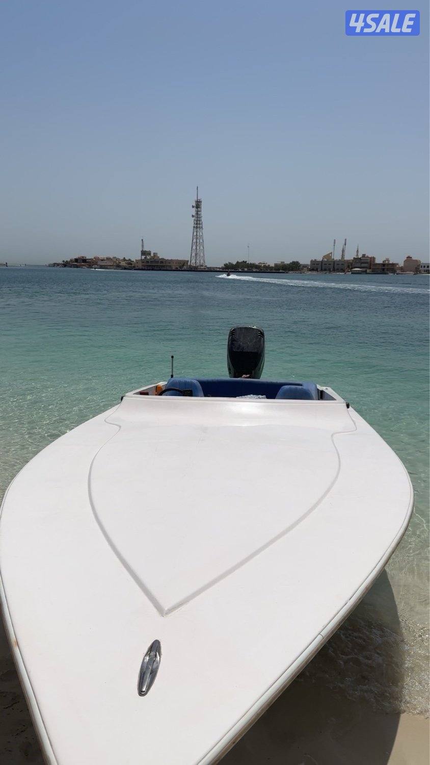 فلوستي قرف النورس 20153