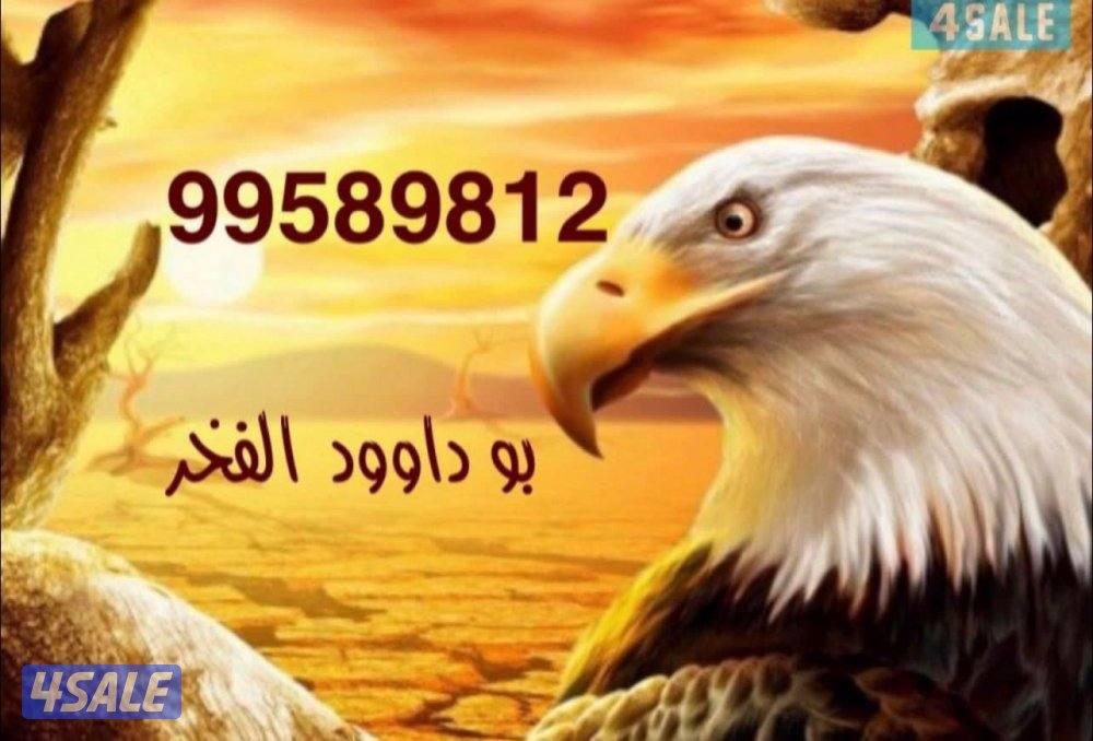 للاجار شقه صباح الناصر ق70