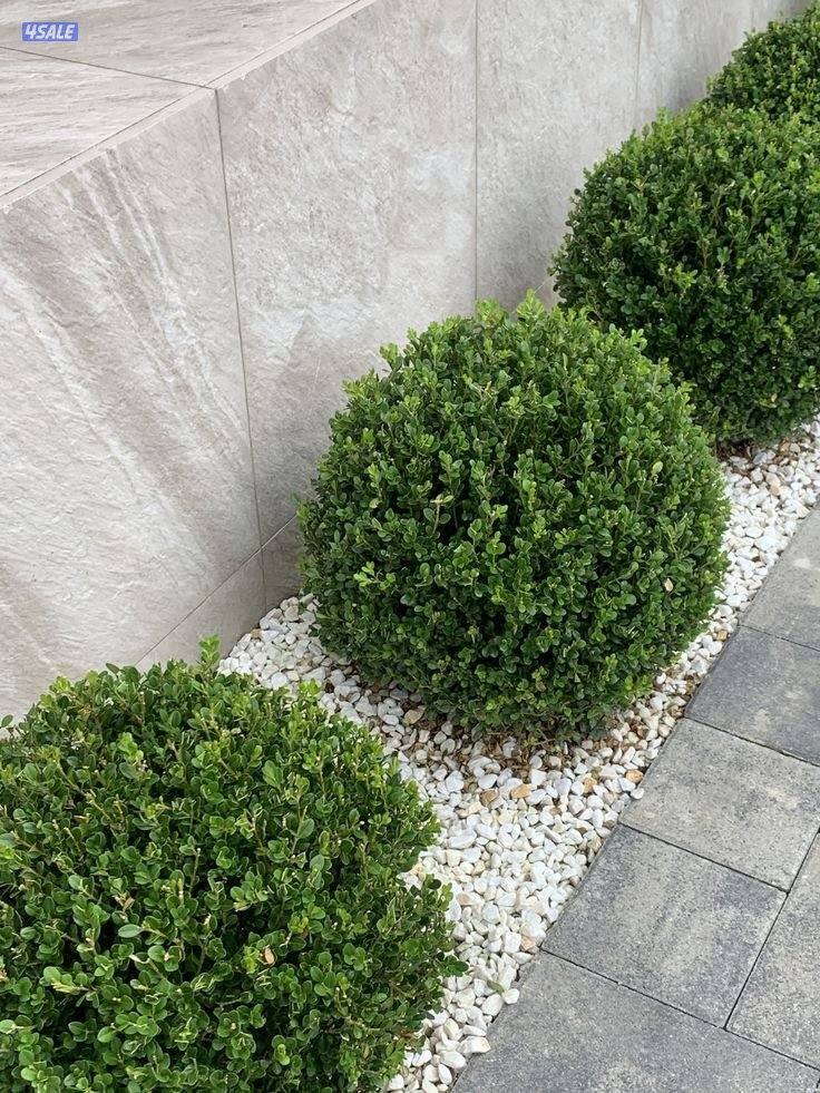 تنسيق وصيانه الحدائق وتركيب شبكات الري2