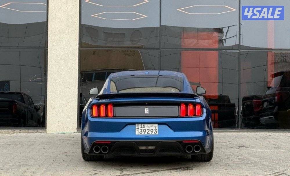 للبيع موستانج شلبي GT350 Shelby1