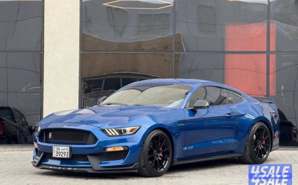 للبيع موستانج شلبي GT350 Shelby4