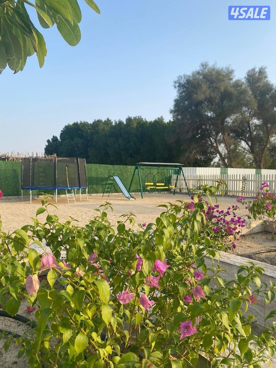 للاجار مزرعه بالوفره ‏🌴palms villa🌴4