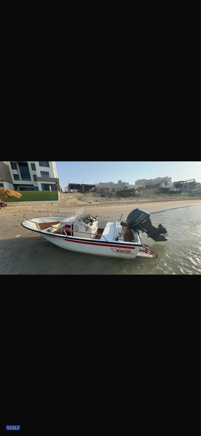 بوستن ويلر0