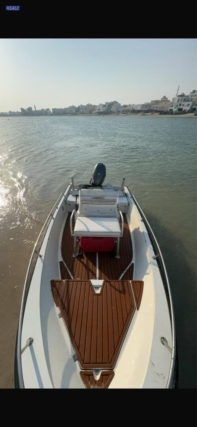 بوستن ويلر3