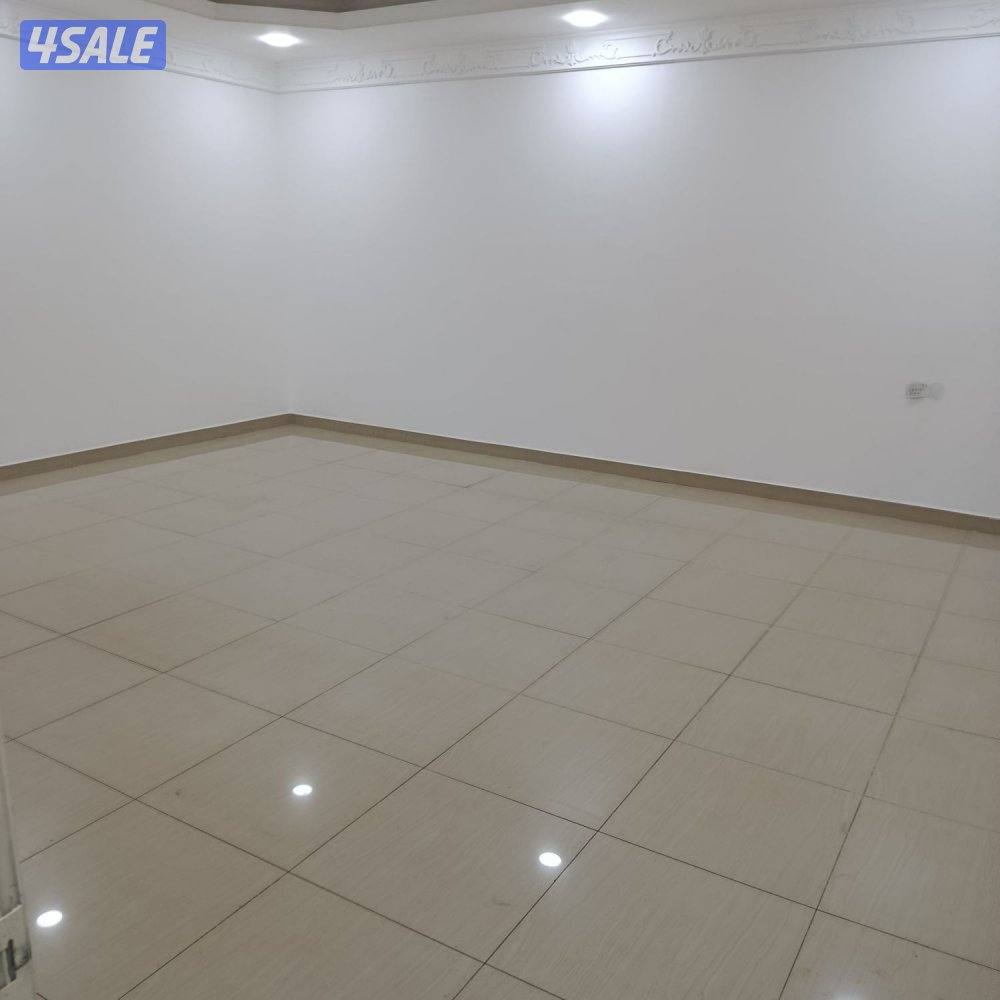 شقه للايجار6