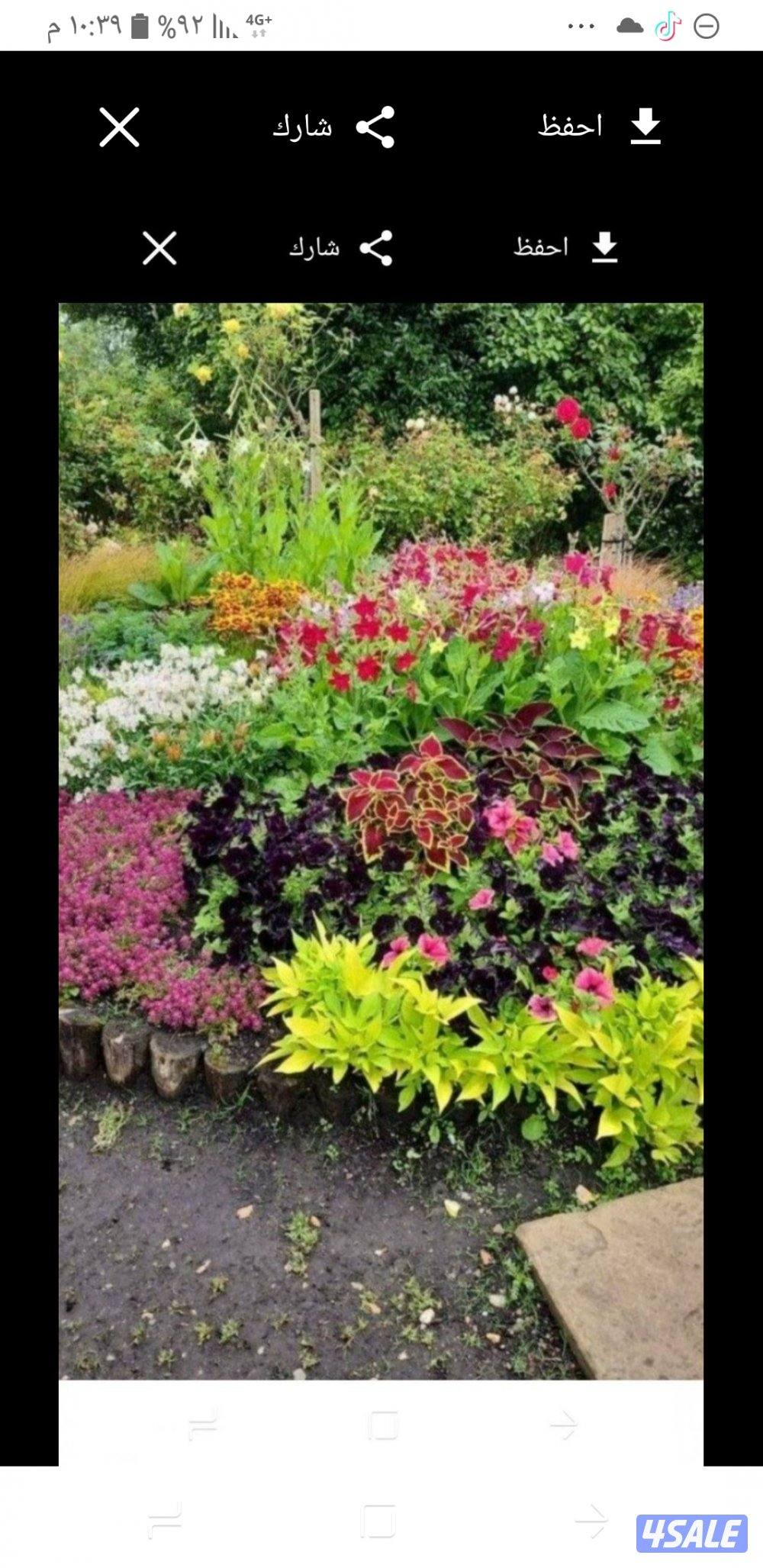 مطلوب مزرعه كبيره للايجار بالوافرء0