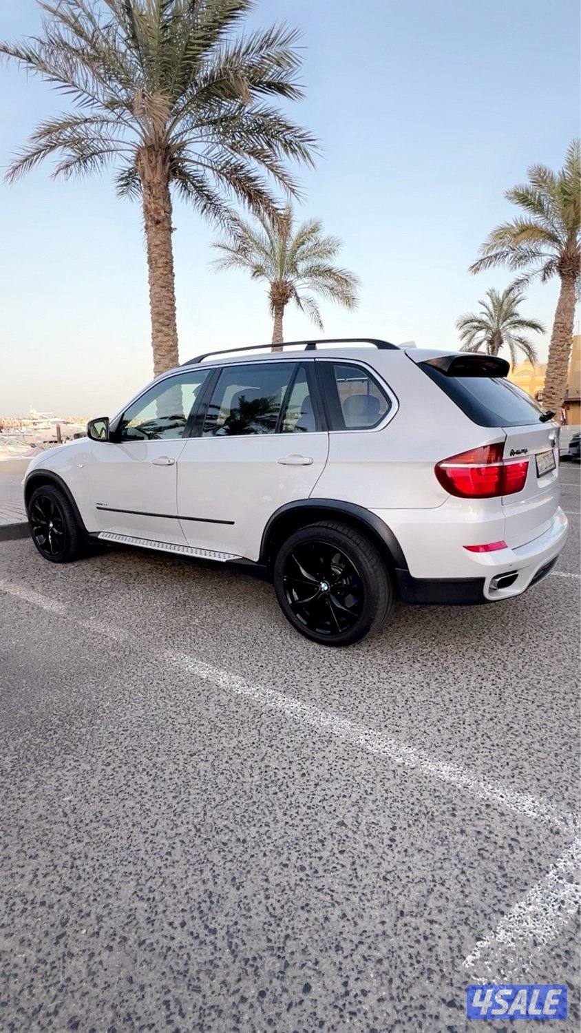 للبيع BMW X51