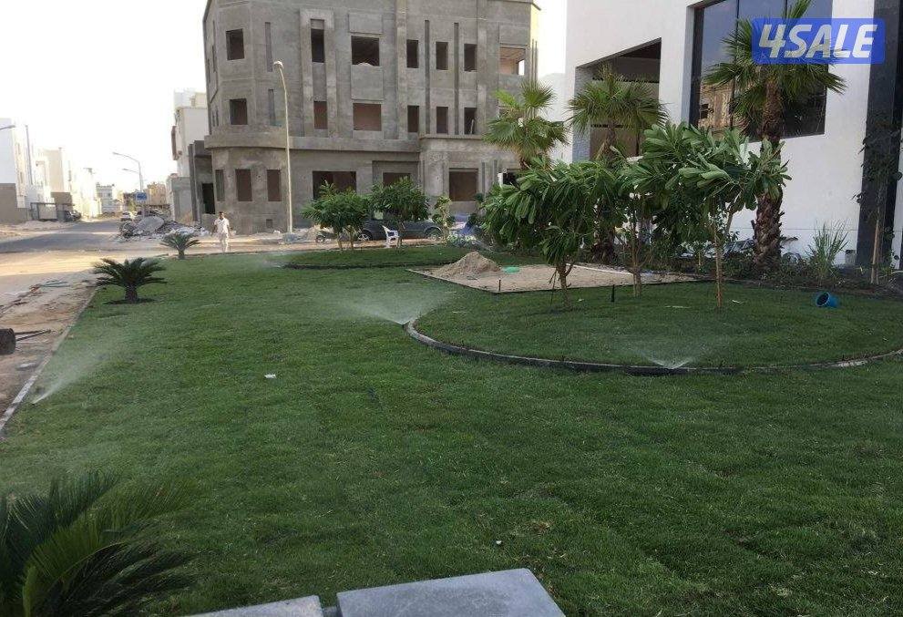 تنسيق حدائق ابو مبارك2