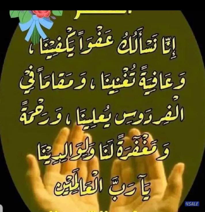 شاب سوداني يدور شقل يعرف عن الحلال ابل غنم أو حارس0