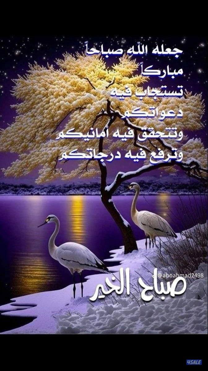 للبيع بيت بالفردوس ق3سكن المالك0
