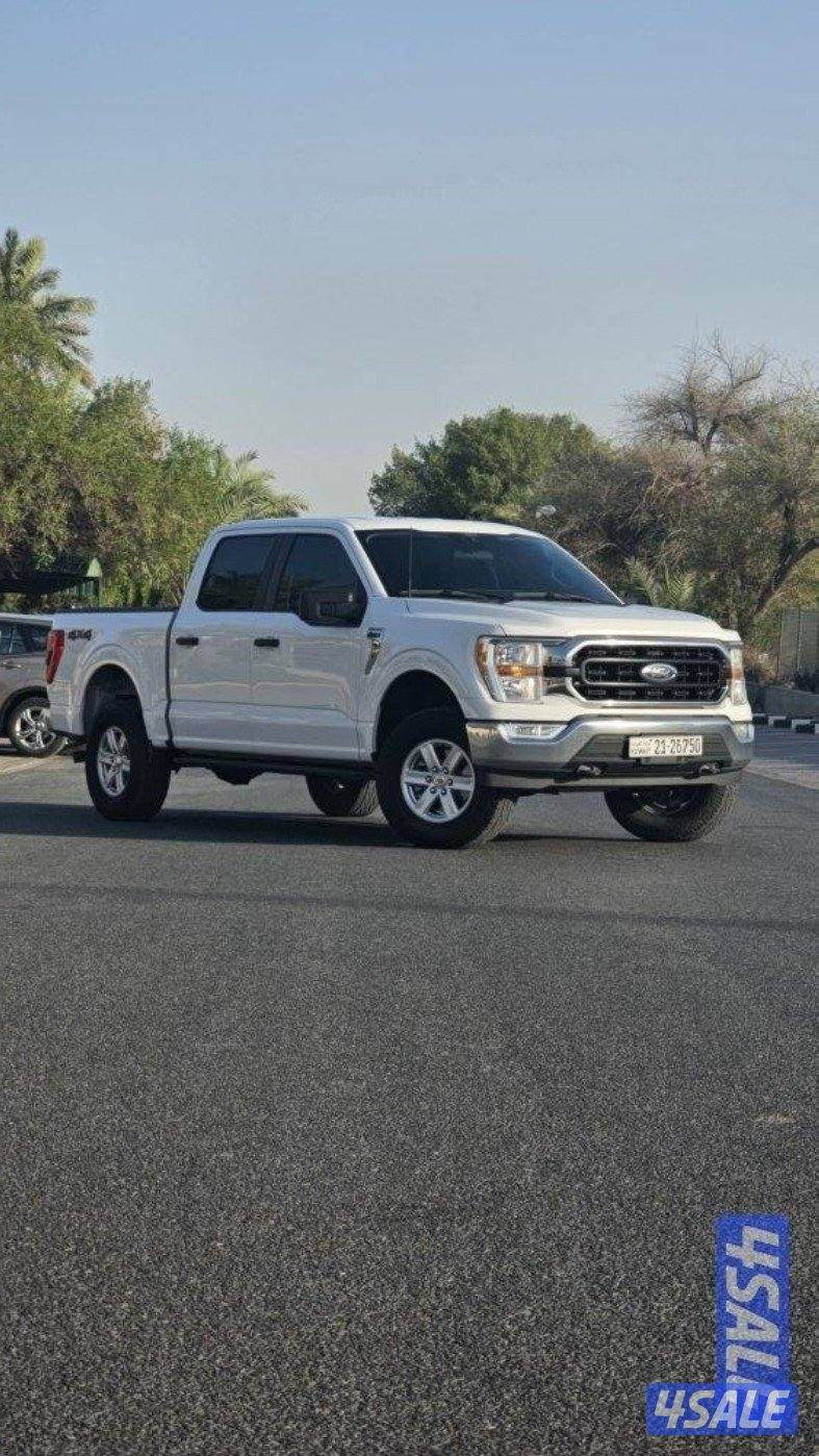 FORD F150 XLT 4×49