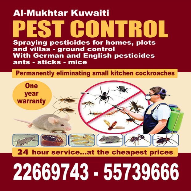 المختار0